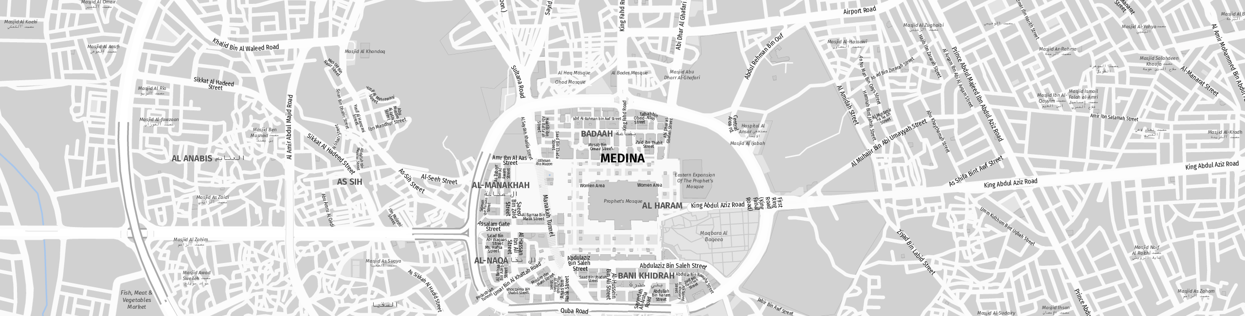 Stadtplan Medina zum Downloaden.